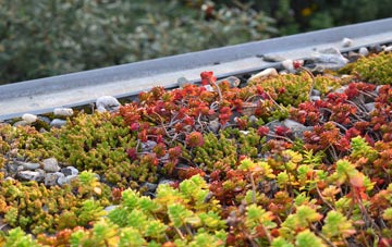 the cost of Greenheys green roof installation