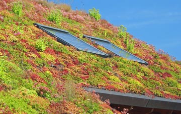 Greenheys living roof systems