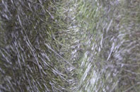 Greenheys fibreglass roof work